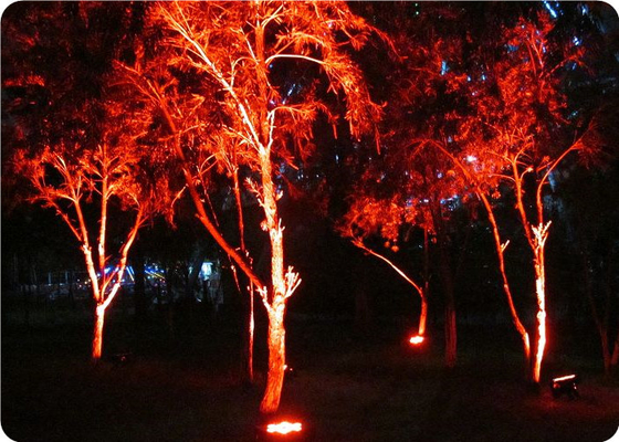 Battery Powered LED Uplighter quality equipment at excellent rates Wireless Battery Uplighter